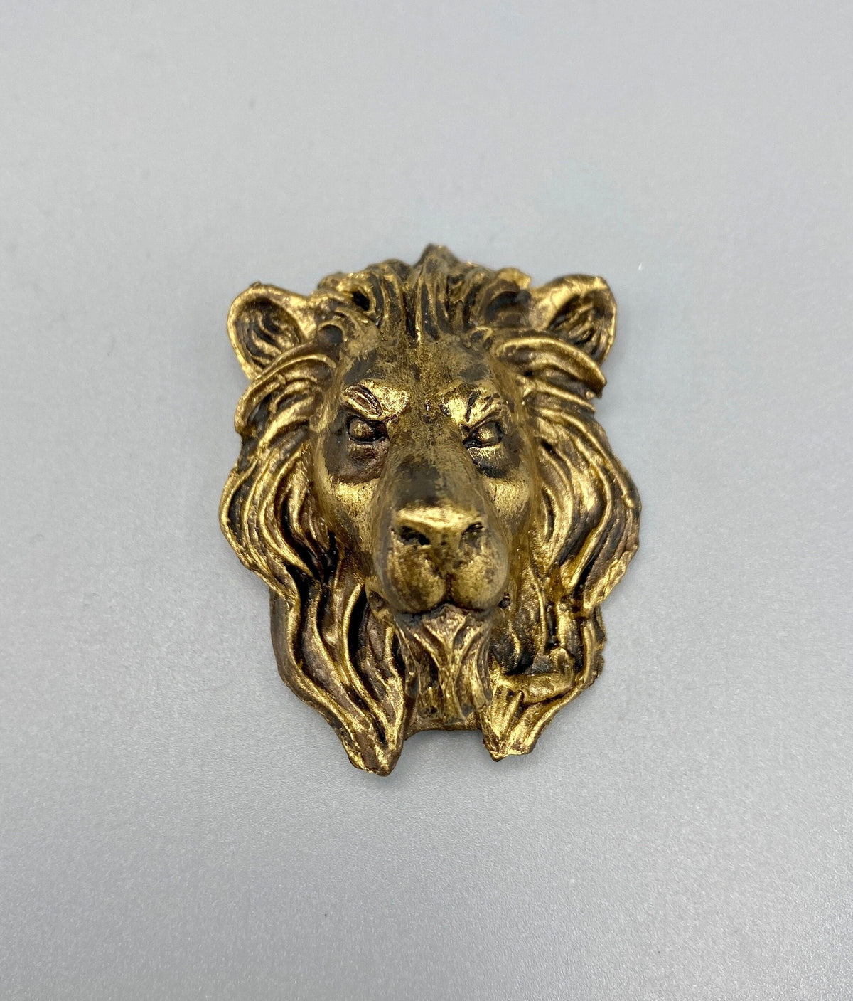 Lion's Head Magnet, Hand Painted Resin Sculpture | Mythic Fantasy Decor | Lion Magnet for Fantasy and Gothic Decor
