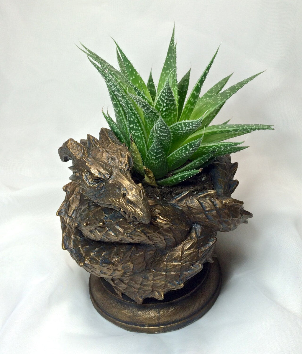 Coiled Dragon Planter, Bronze Finish |  Unique Mythic Creature Home Decor | Resin Sculpture Snake Vase, Fantasy Art and Gothic Home Decor