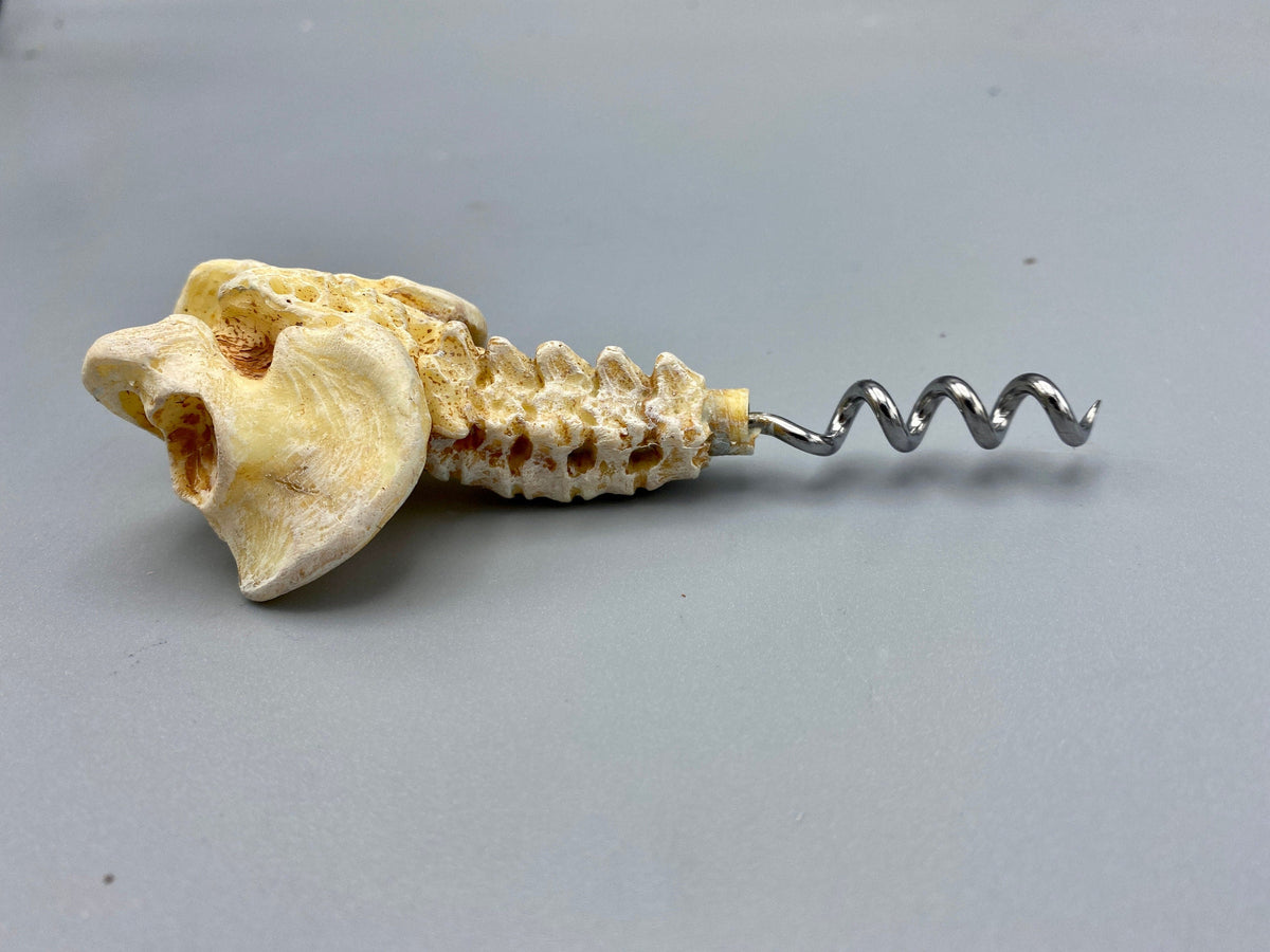 Spine and Pelvis Corkscrew, Hand Painted Resin | Gothic Medical Decor, Anatomy Spinal Cork Screw |Fantasy Gothic Wine and Barware Gift