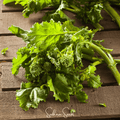 Rapini Raab Broccoli – 100 Seeds