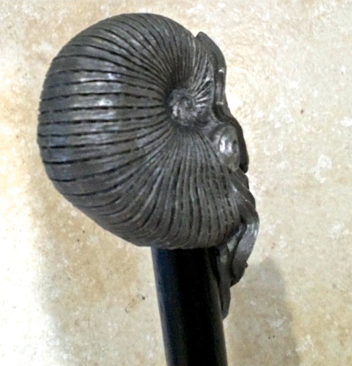 Nautilus Ammonite Cane, Hand Sculpted Walking Stick | Nautical Fossil Cane | Fantasy Natural History Cane, Maritime Gothic Accessory