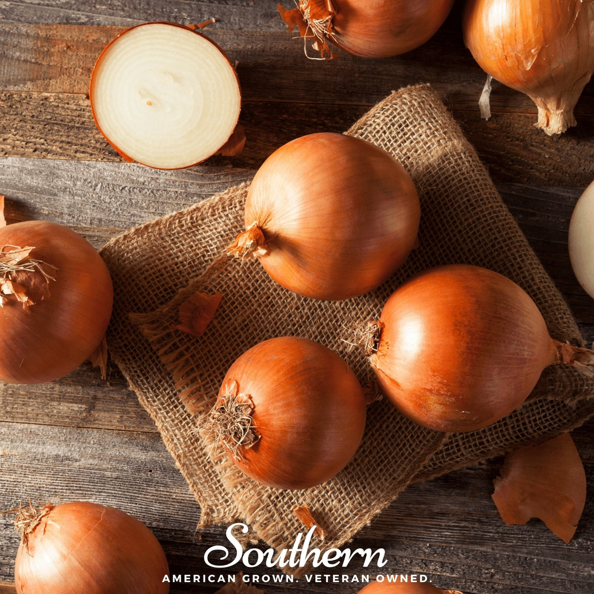 Spanish Yellow Sweet Onion – 200 Seeds