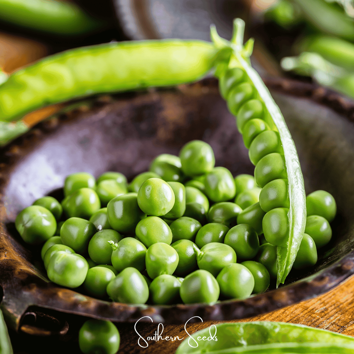 Early Frosty Peas – 25 Seeds