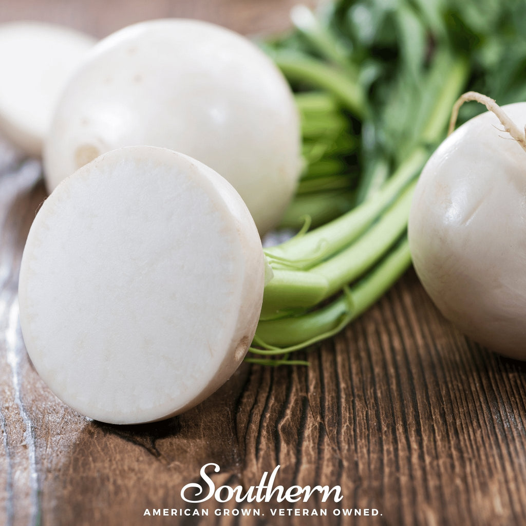 Hailstone Radish – 100 Seeds