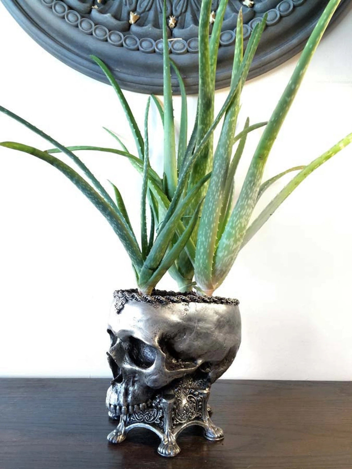Human Skull Planter, Pewter Finish